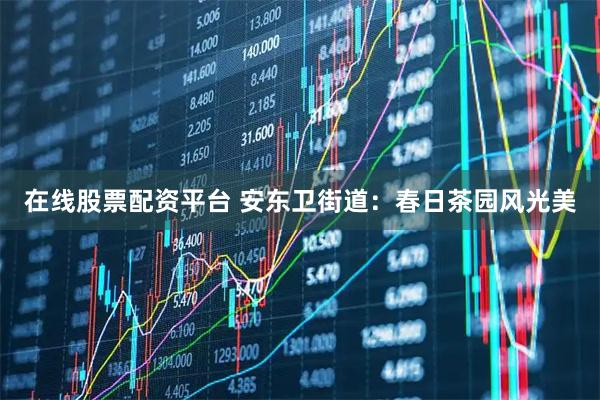 在线股票配资平台 安东卫街道：春日茶园风光美